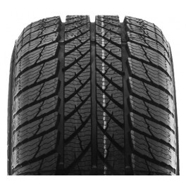 Gislaved Euro*Frost 5 205/55R16 91T